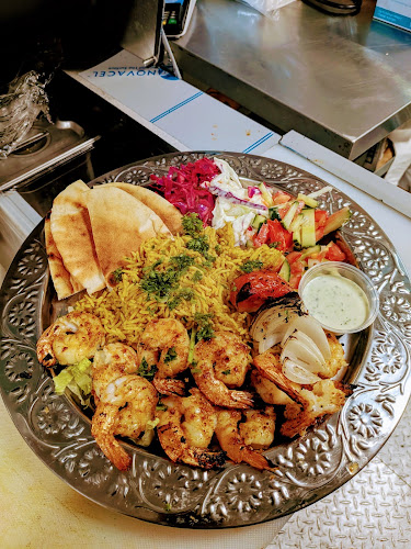 Hamada maqluba / kabobs