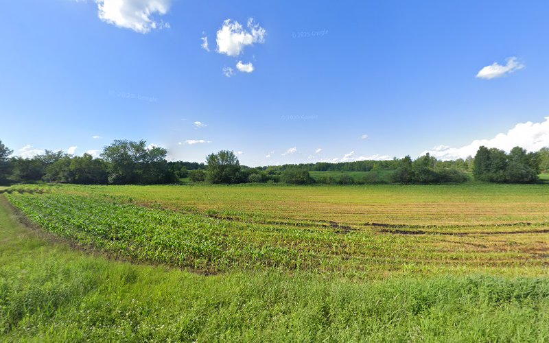 Çarşamba lezzet diyarı